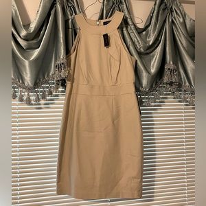 The Limited size 6 tan NWT summer formal cocktail dress